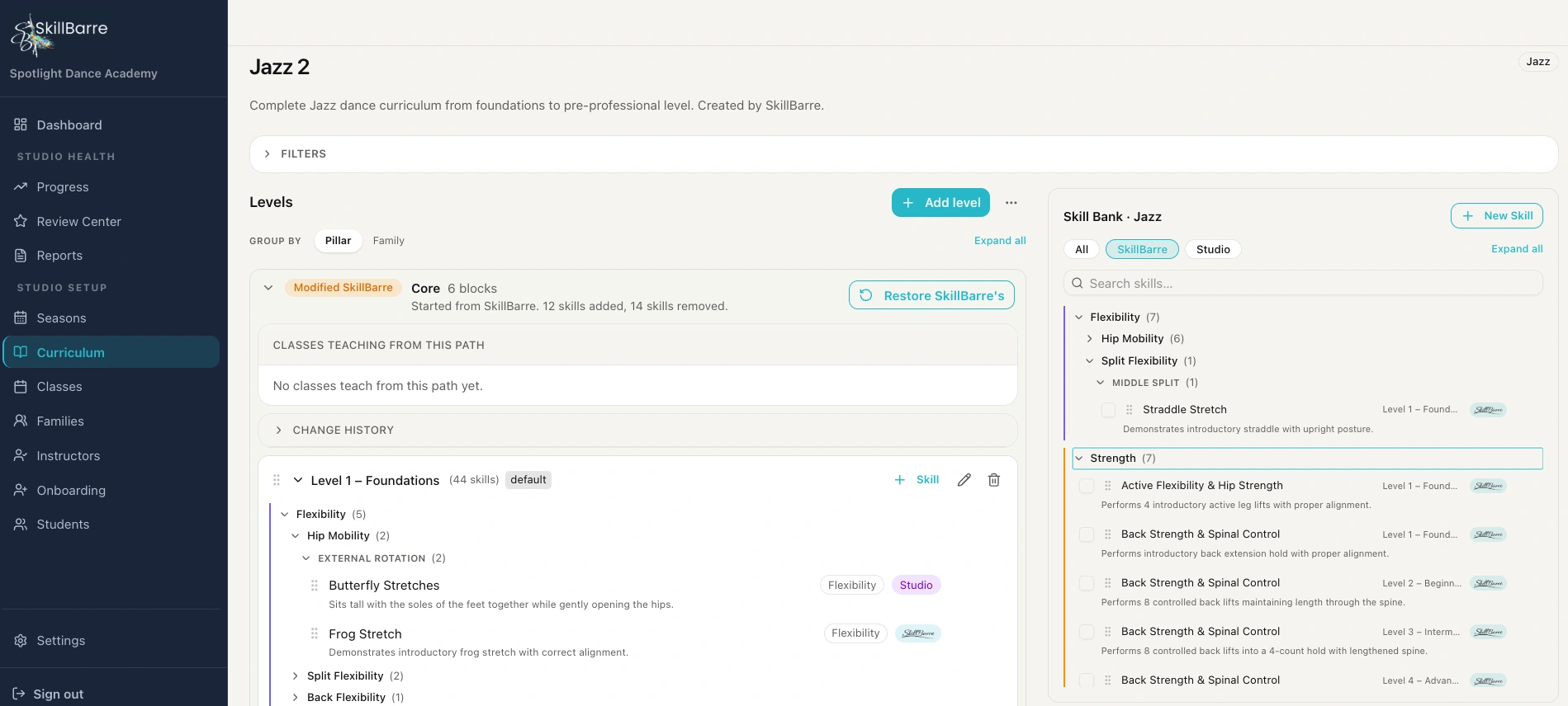 Curriculum editor with skills organized by level and category